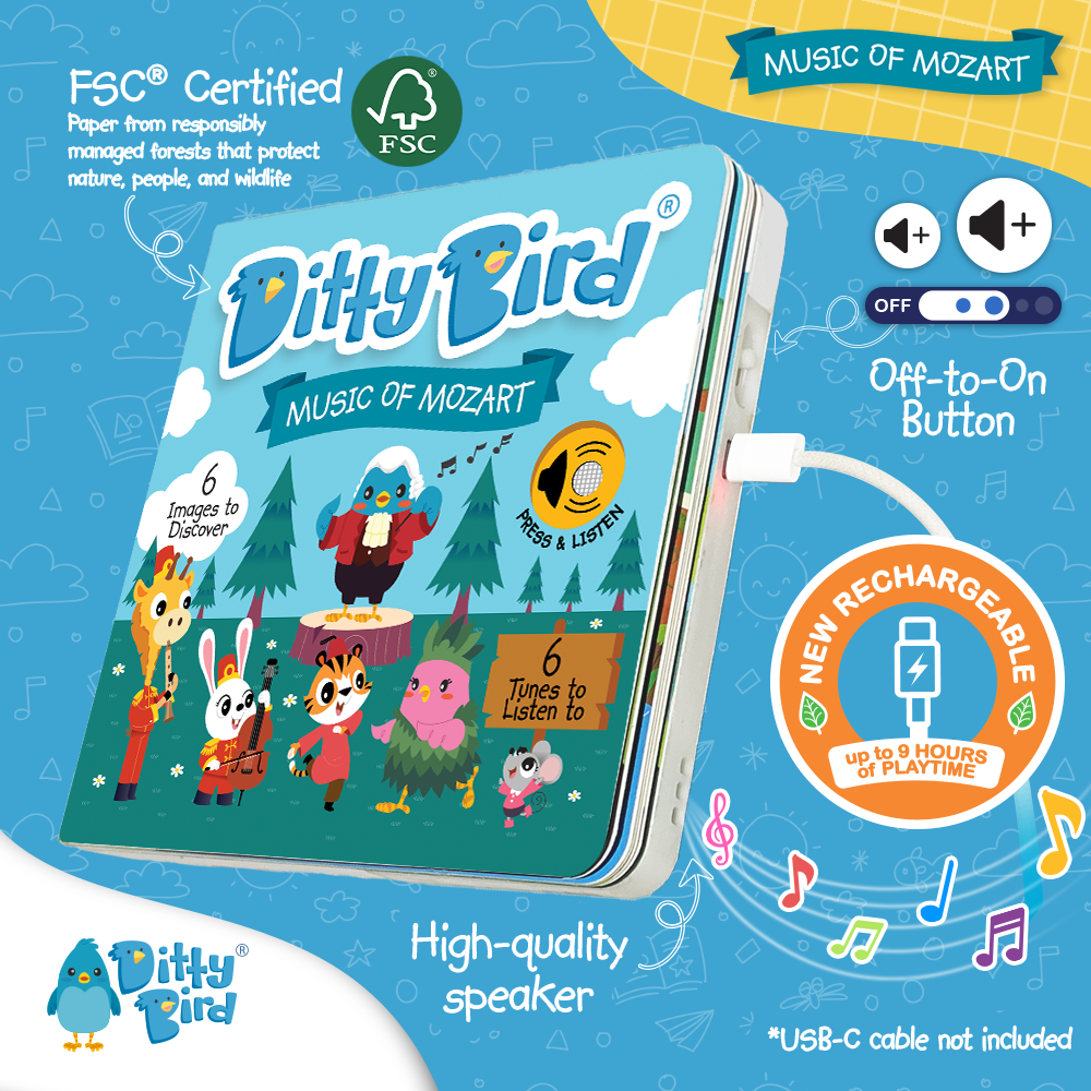 Music of Mozart | USB-C Rechargeable