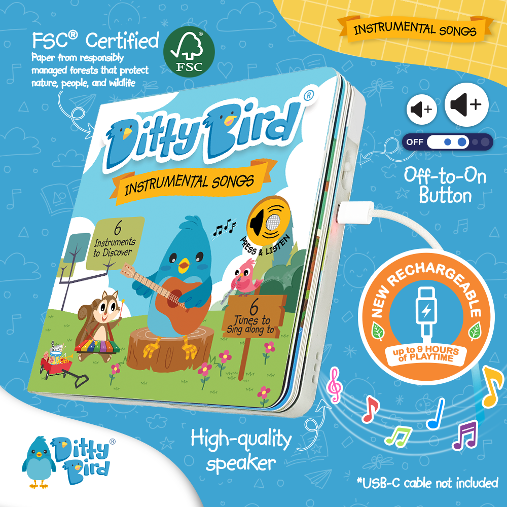 Musical Instruments | USB-C Rechargeable